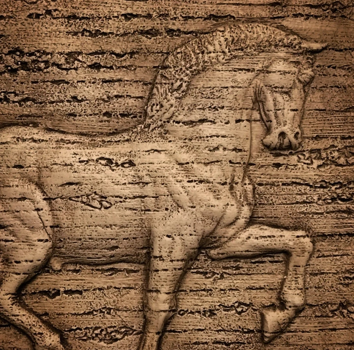 Cavallo Da Vinci