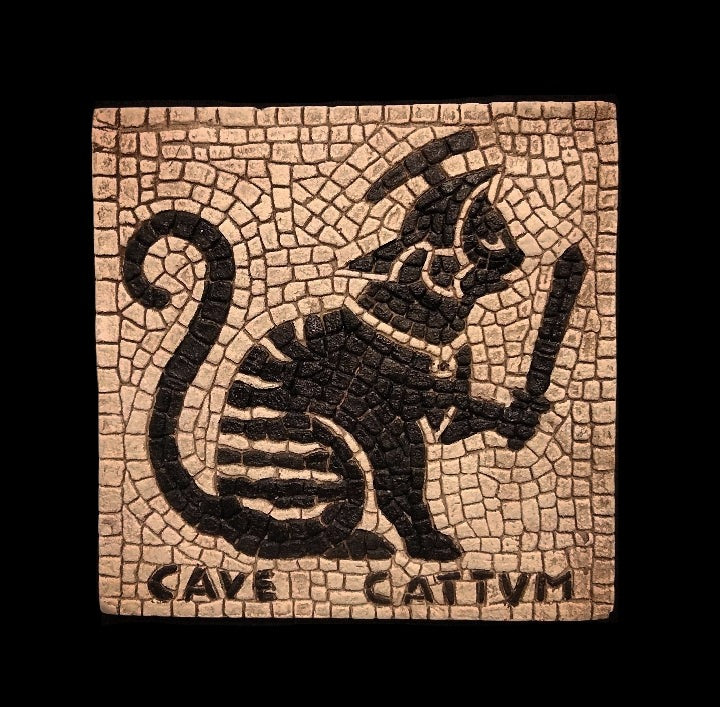Cave Cattum